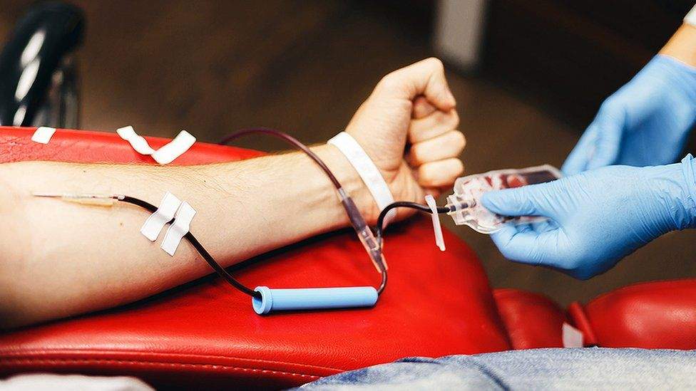 Turnos para donar sangre